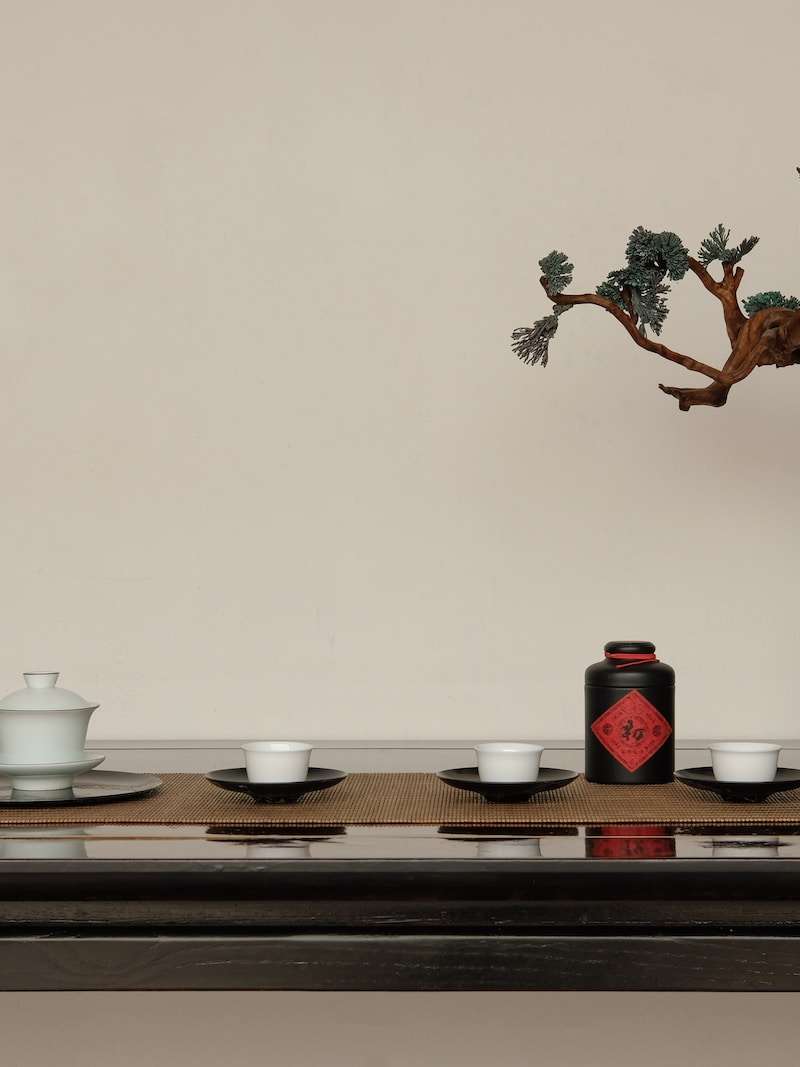 brown bonsai on top of table